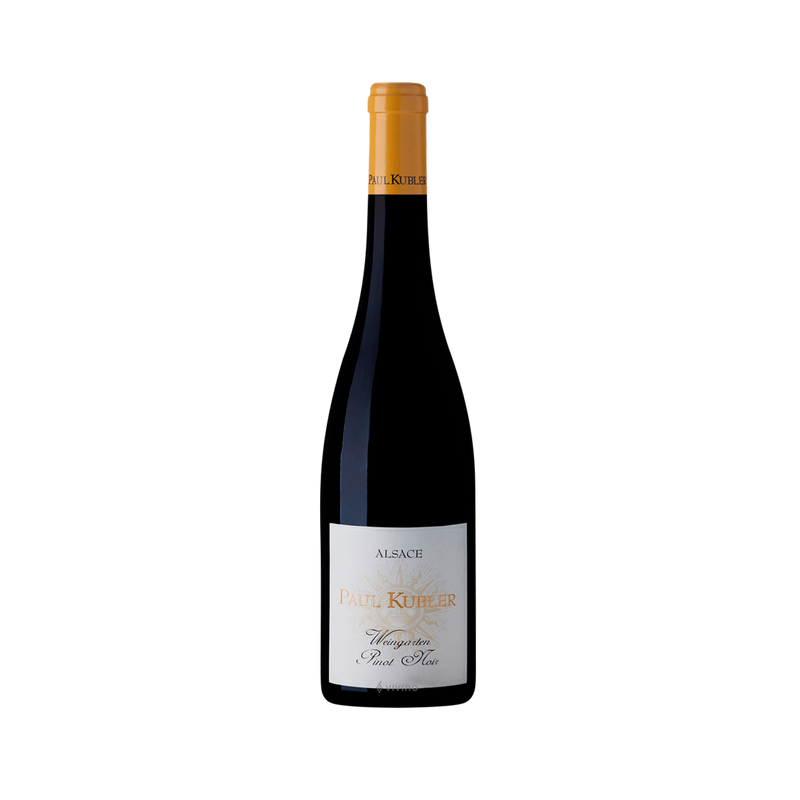 Pinot Noir Weingarten - Le Jardin du Vin - 2019